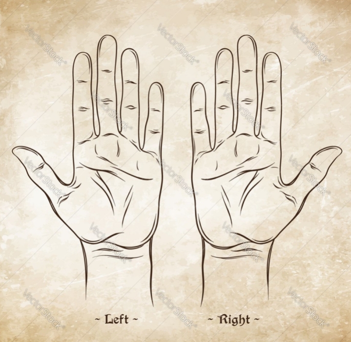 palmistry-or-chiromancy-chart-blank-template-vector-14265715